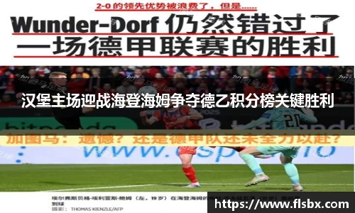汉堡主场迎战海登海姆争夺德乙积分榜关键胜利