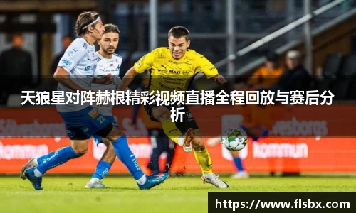 天狼星对阵赫根精彩视频直播全程回放与赛后分析
